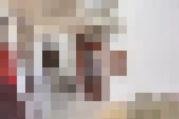 Bordeslaan 273 's-Hertogenbosch thumbnail 29
