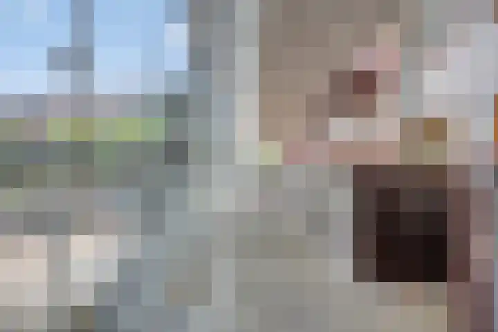 Bordeslaan 273 's-Hertogenbosch thumbnail 30
