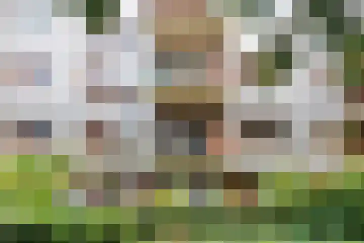 Bordeslaan 273 's-Hertogenbosch thumbnail 32