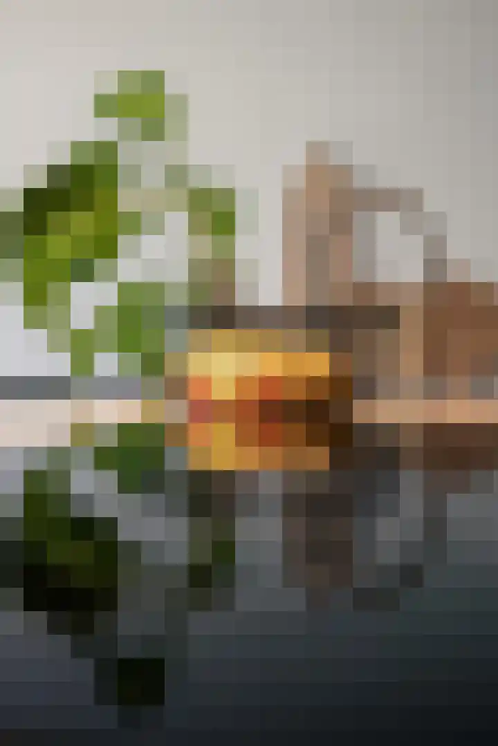 Bordeslaan 276 's-Hertogenbosch thumbnail 15