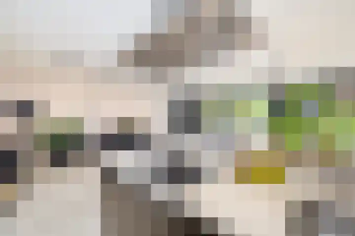 Bordeslaan 276 's-Hertogenbosch thumbnail 18
