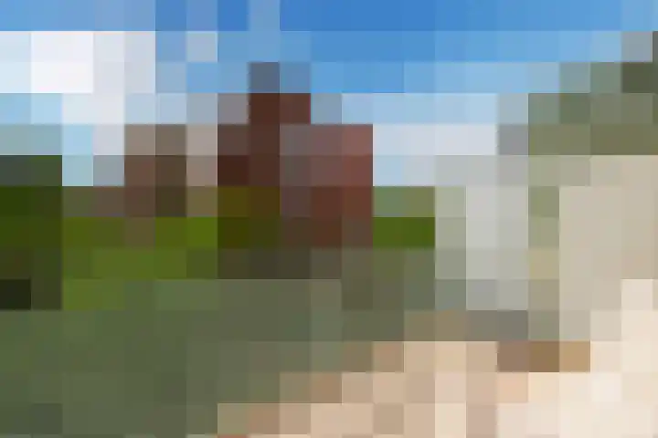 Bordeslaan 276 's-Hertogenbosch thumbnail 20