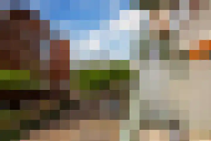 Bordeslaan 276 's-Hertogenbosch thumbnail 21