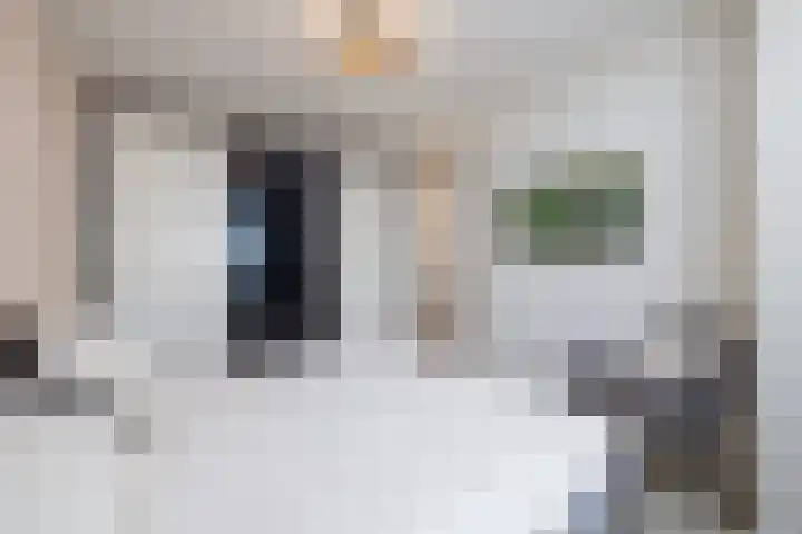Bordeslaan 276 's-Hertogenbosch thumbnail 31