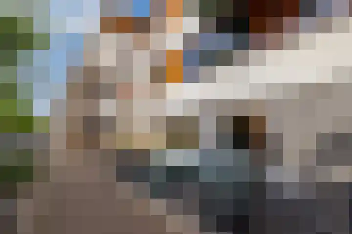 Bordeslaan 276 's-Hertogenbosch thumbnail 38
