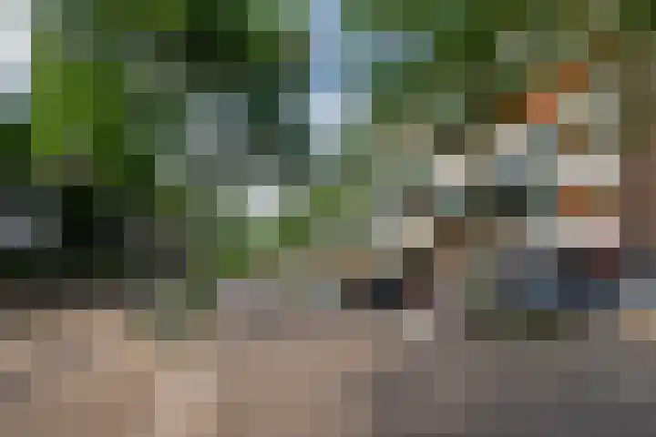 Bordeslaan 276 's-Hertogenbosch thumbnail 39