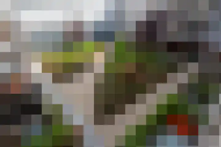 Bordeslaan 276 's-Hertogenbosch thumbnail 40