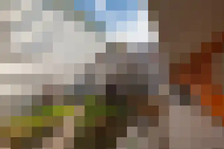 Bordeslaan 276 's-Hertogenbosch thumbnail 41