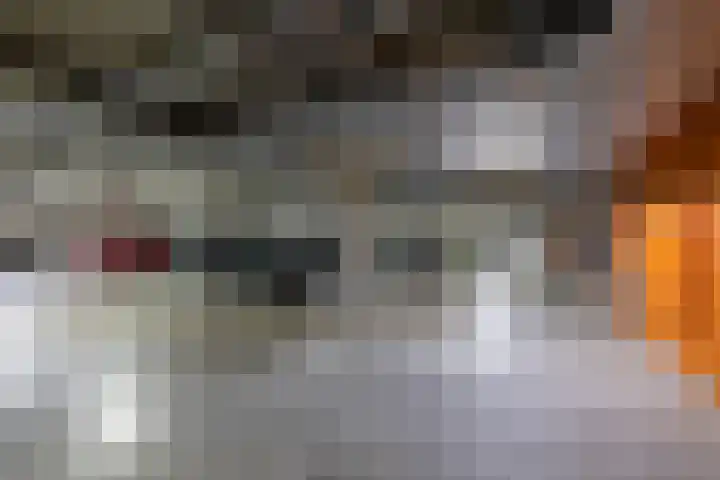 Bordeslaan 276 's-Hertogenbosch thumbnail 43