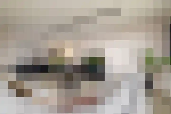 Bordeslaan 276 's-Hertogenbosch thumbnail 7