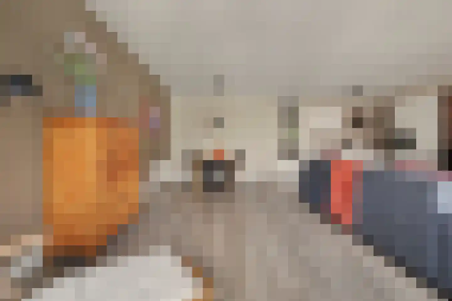 Bordeslaan 290 's-Hertogenbosch thumbnail 7