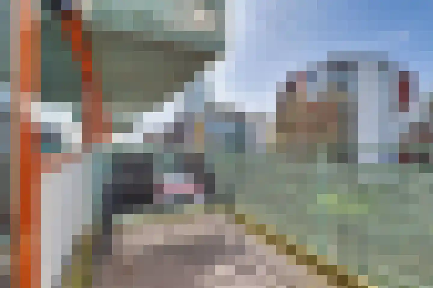 Bordeslaan 290 's-Hertogenbosch thumbnail 9