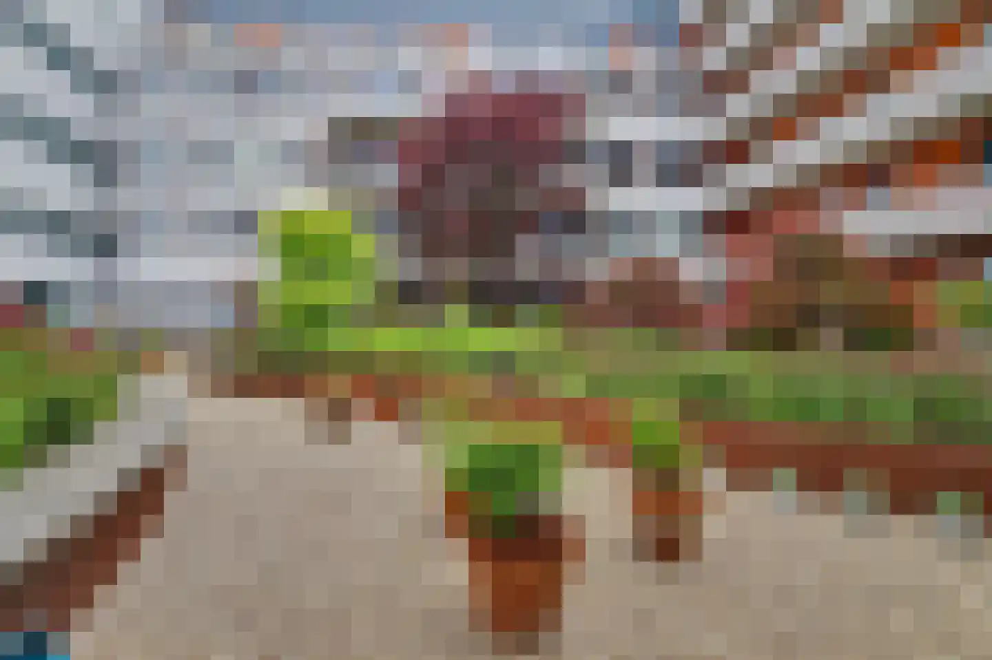 Bordeslaan 296 's-Hertogenbosch thumbnail 32