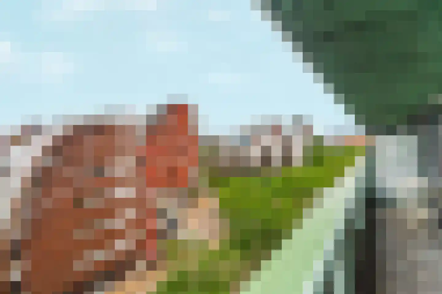 Bordeslaan 312 's-Hertogenbosch thumbnail 40