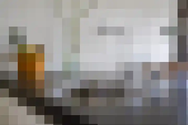 Bordeslaan 318 's-Hertogenbosch thumbnail 15