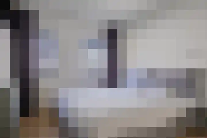 Bordeslaan 318 's-Hertogenbosch thumbnail 24