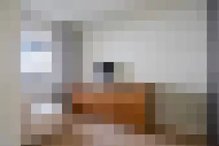 Bordeslaan 318 's-Hertogenbosch thumbnail 32