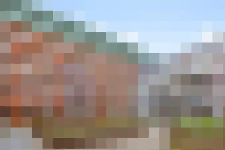 Bordeslaan 318 's-Hertogenbosch thumbnail 41