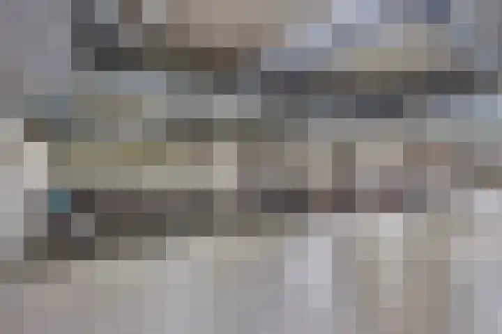 Bordeslaan 318 's-Hertogenbosch thumbnail 45