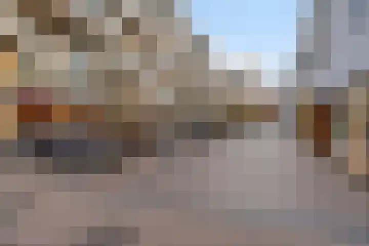 Bordeslaan 318 's-Hertogenbosch thumbnail 48