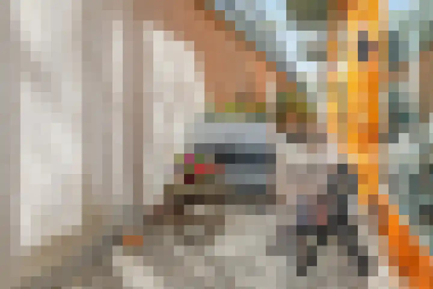 Bordeslaan 322 's-Hertogenbosch thumbnail 26