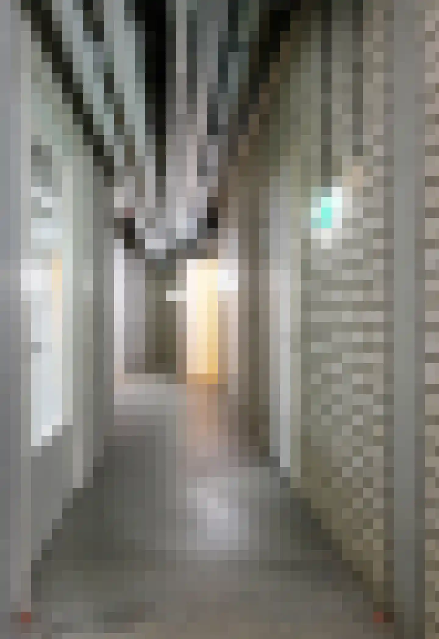 Bordeslaan 322 's-Hertogenbosch thumbnail 30