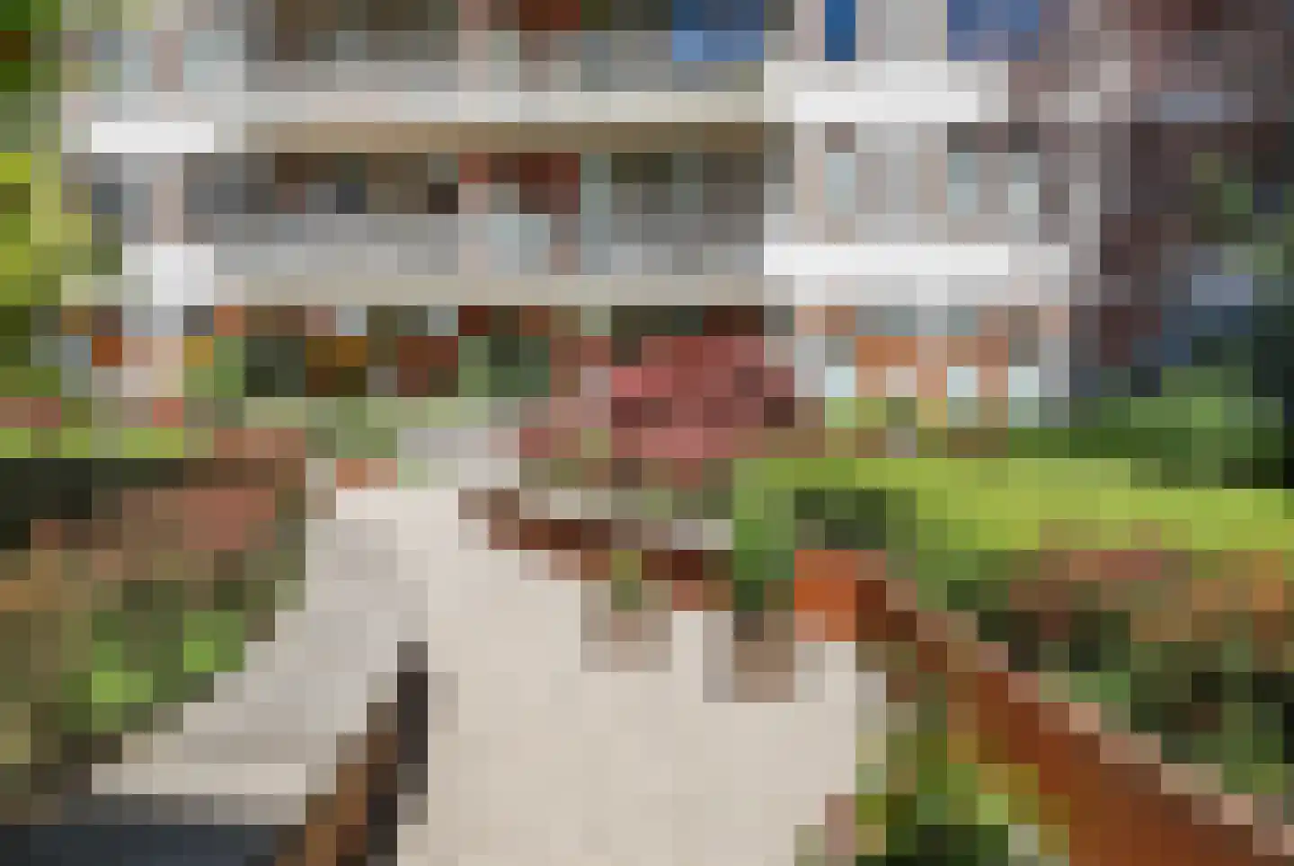 Bordeslaan 322 's-Hertogenbosch thumbnail 34