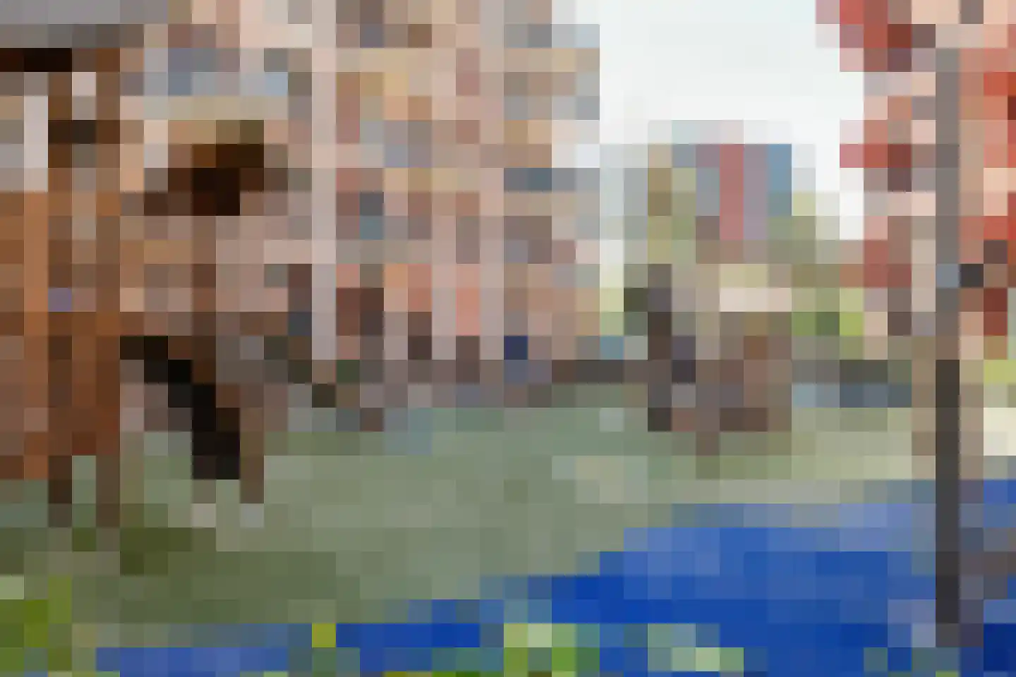 Bordeslaan 322 's-Hertogenbosch thumbnail 39