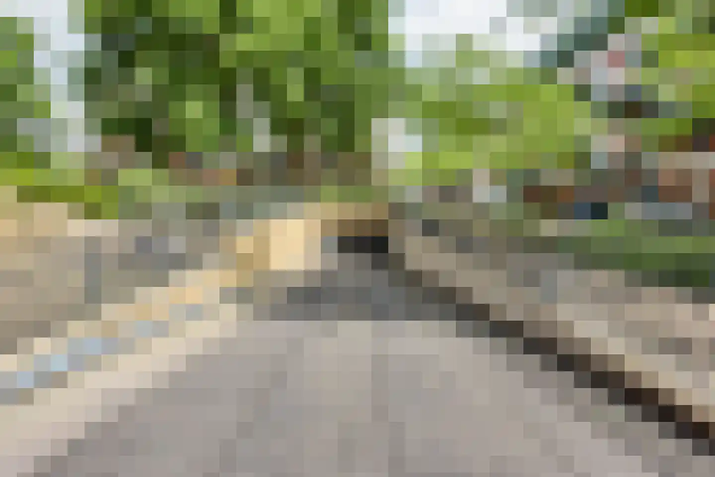 Bordeslaan 335 's-Hertogenbosch thumbnail 41