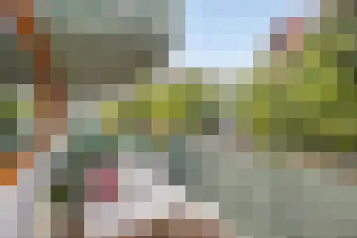 Bordeslaan 342 's-Hertogenbosch thumbnail 14