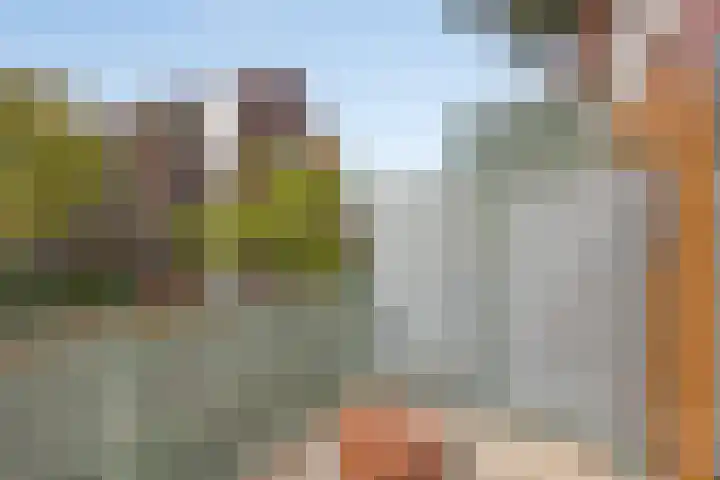 Bordeslaan 342 's-Hertogenbosch thumbnail 15
