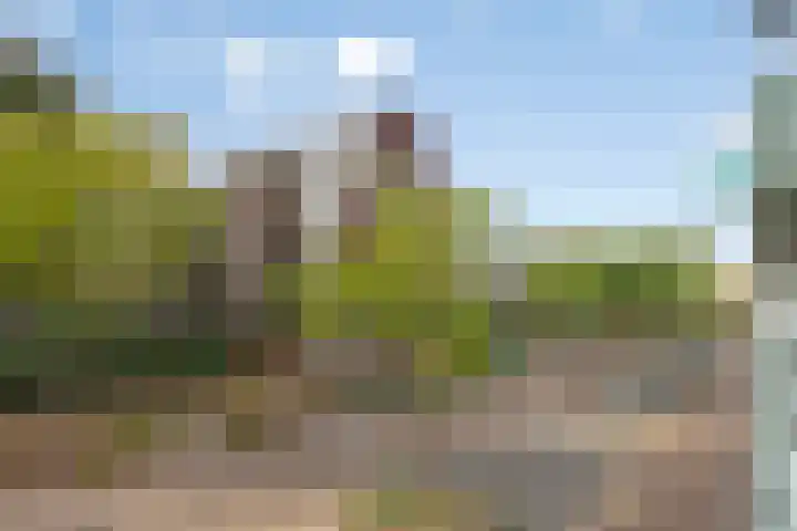 Bordeslaan 342 's-Hertogenbosch thumbnail 17