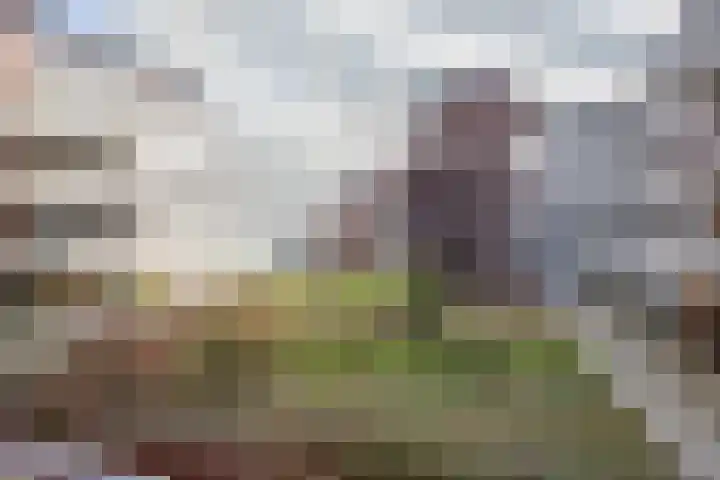 Bordeslaan 342 's-Hertogenbosch thumbnail 21