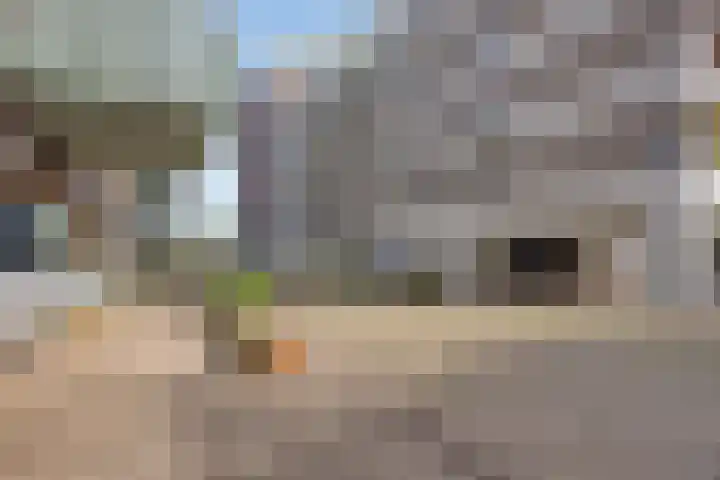 Bordeslaan 342 's-Hertogenbosch thumbnail 27