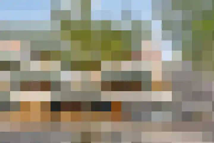 Bordeslaan 342 's-Hertogenbosch thumbnail 29