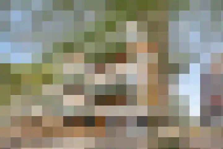 Bordeslaan 342 's-Hertogenbosch thumbnail 31