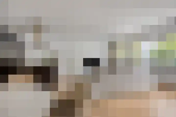 Bordeslaan 342 's-Hertogenbosch thumbnail 4