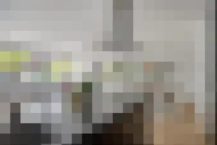 Bordeslaan 342 's-Hertogenbosch thumbnail 7