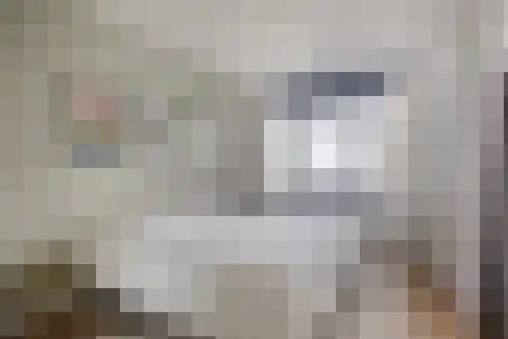Bordeslaan 342 's-Hertogenbosch thumbnail 8