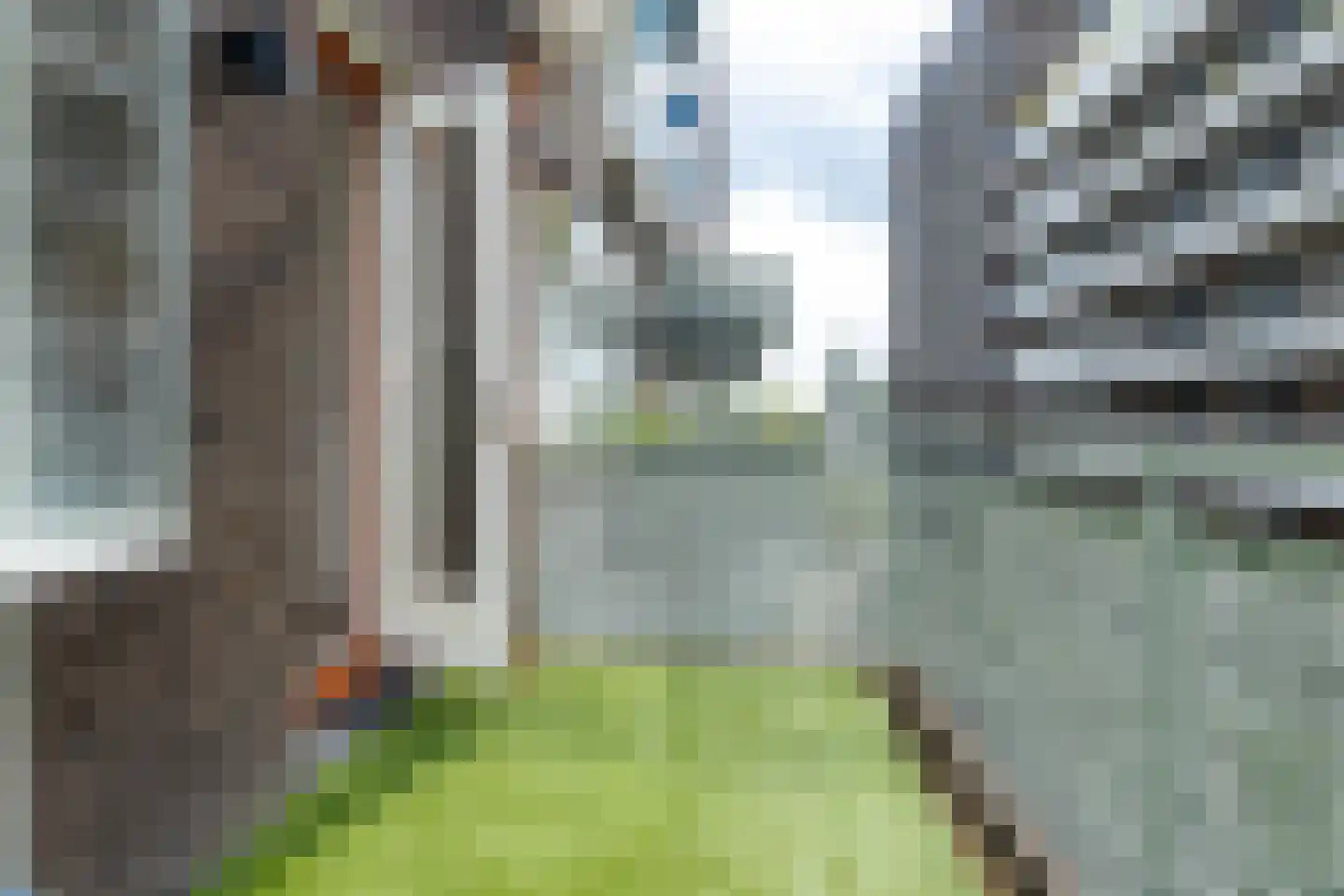 Bordeslaan 344 's-Hertogenbosch thumbnail 25