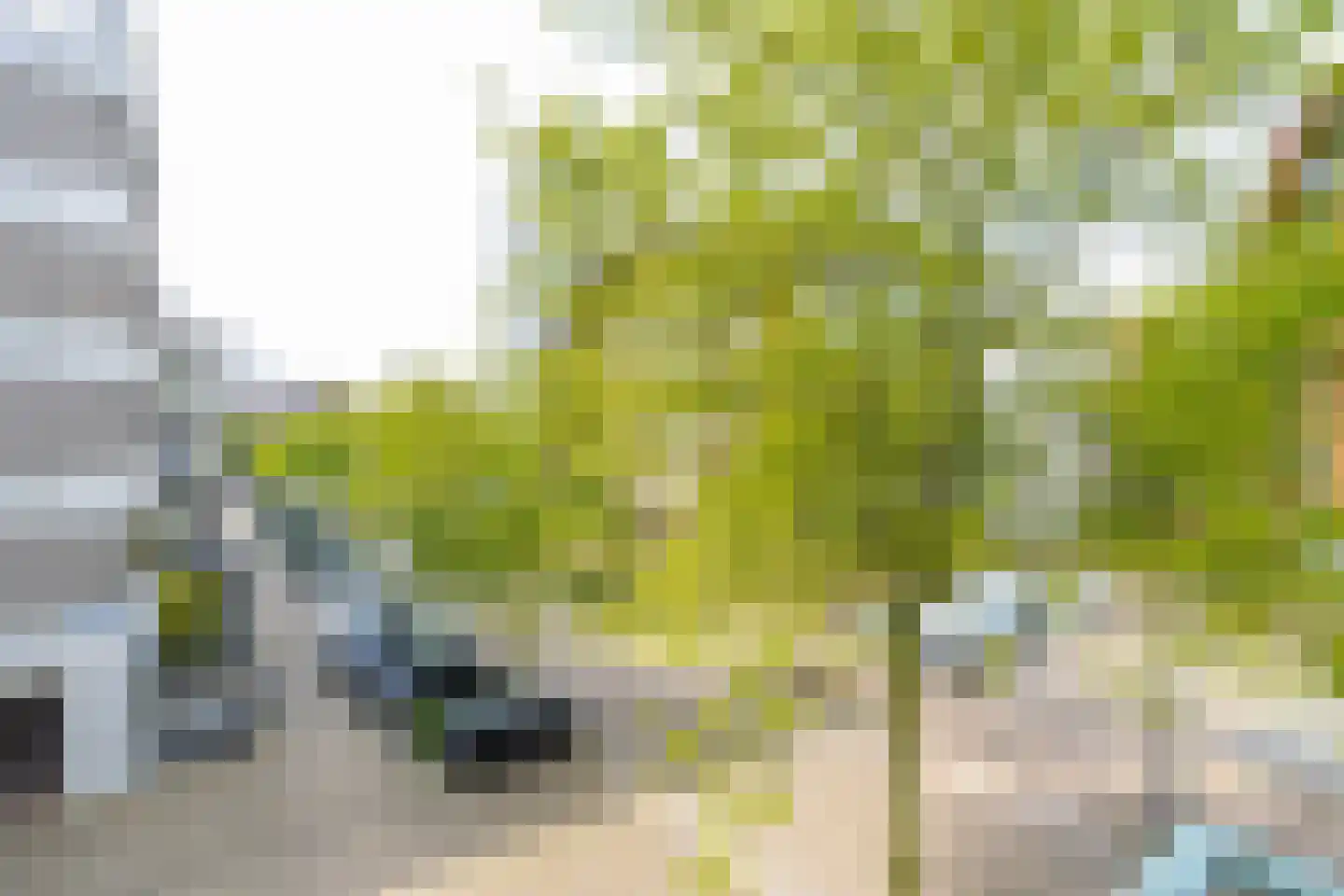 Bordeslaan 344 's-Hertogenbosch thumbnail 30