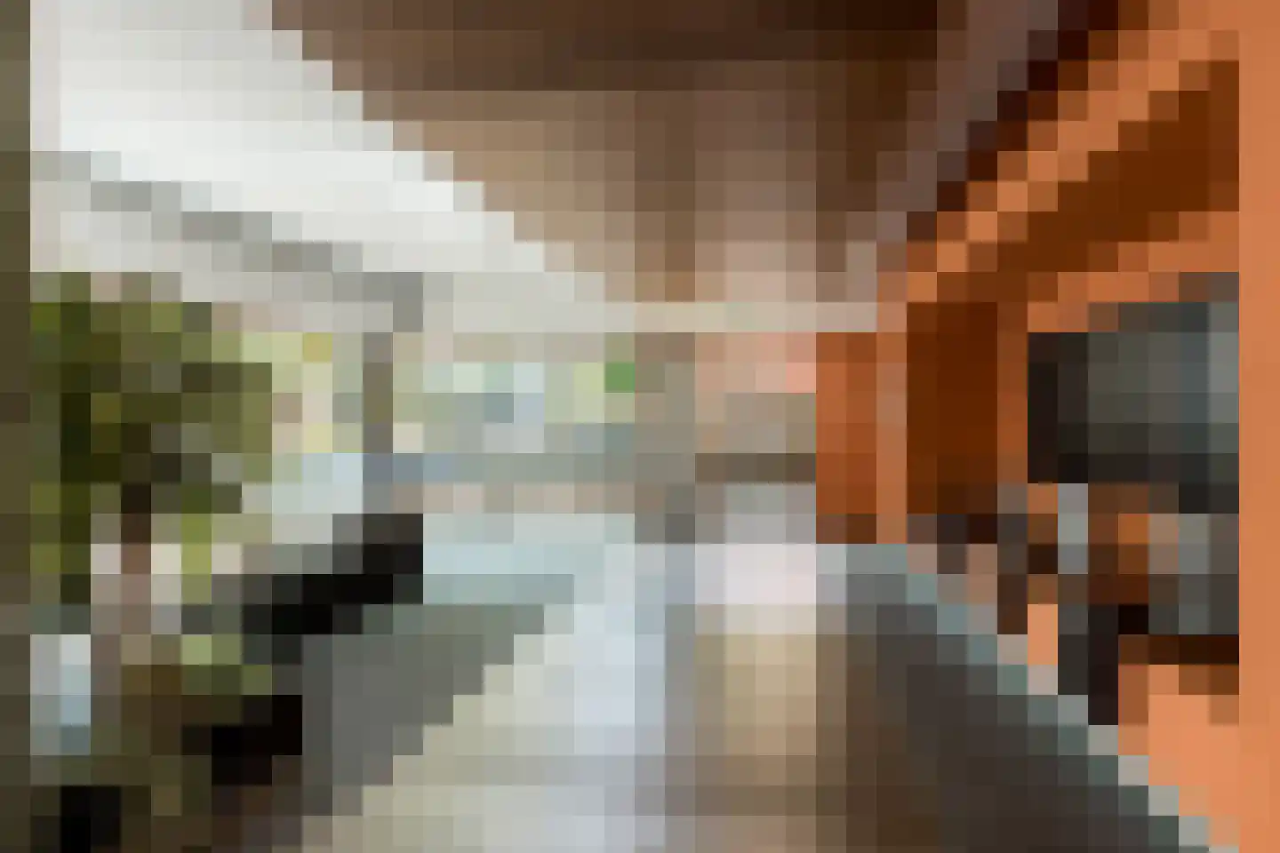 Bordeslaan 344 's-Hertogenbosch thumbnail 31