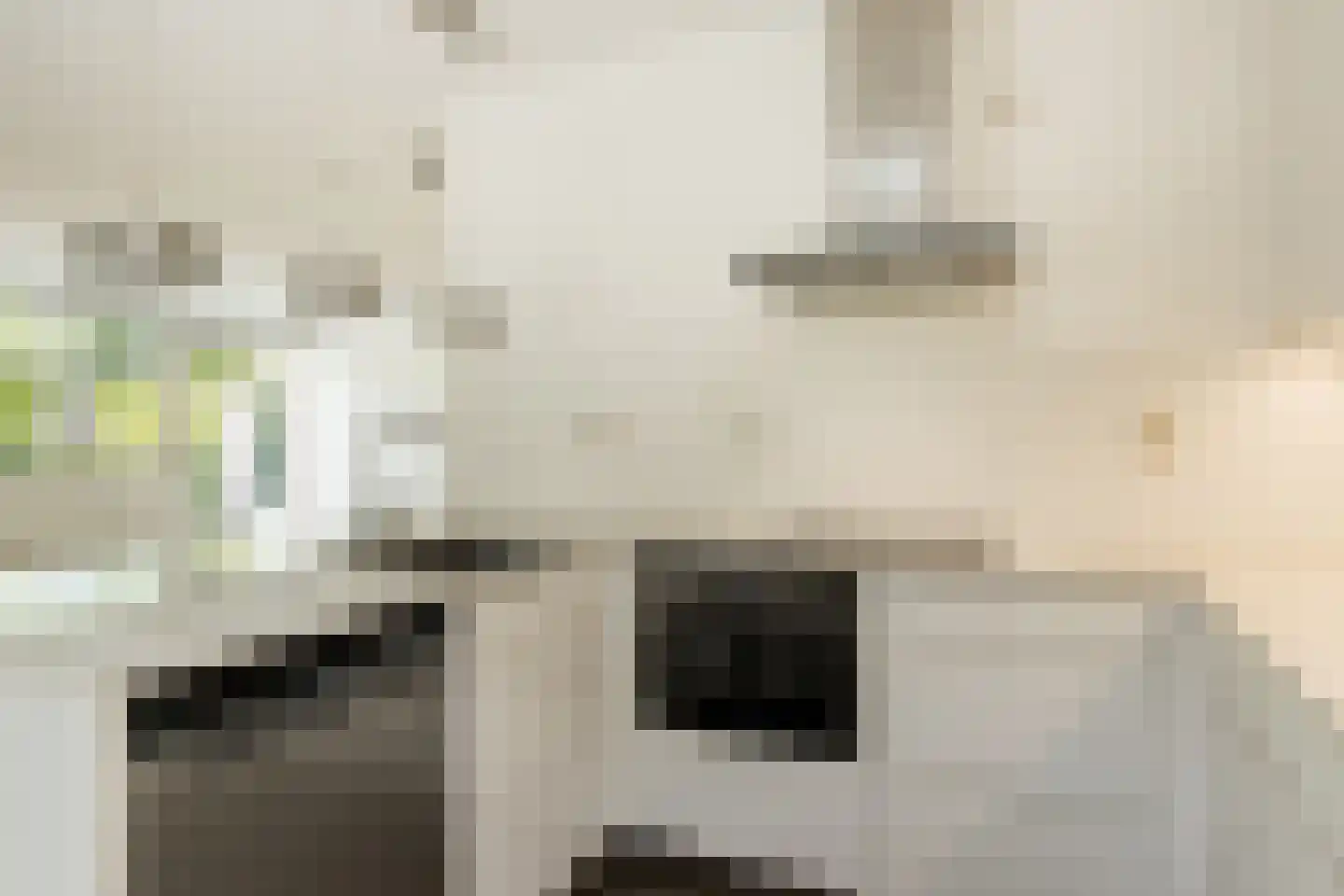 Bordeslaan 344 's-Hertogenbosch thumbnail 9