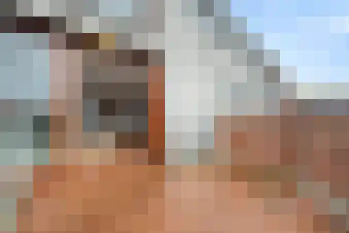 Bordeslaan 355 's-Hertogenbosch thumbnail 31