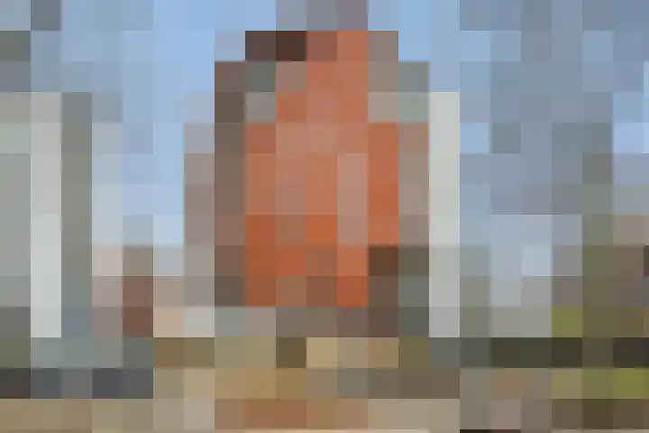 Bordeslaan 355 's-Hertogenbosch thumbnail 5