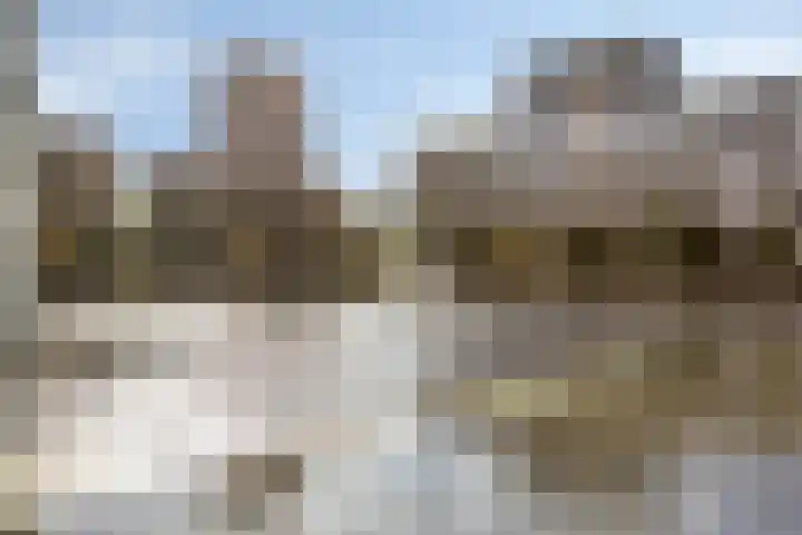 Bordeslaan 378 's-Hertogenbosch thumbnail 28