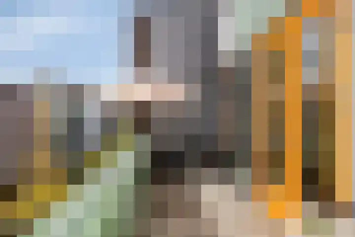Bordeslaan 378 's-Hertogenbosch thumbnail 9