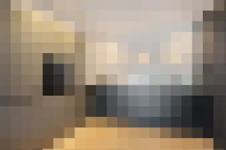 Bordeslaan 381 's-Hertogenbosch thumbnail 11