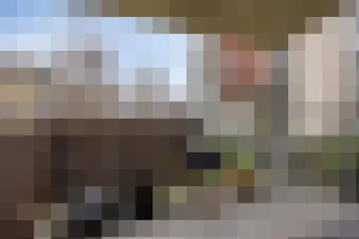 Bordeslaan 381 's-Hertogenbosch thumbnail 17