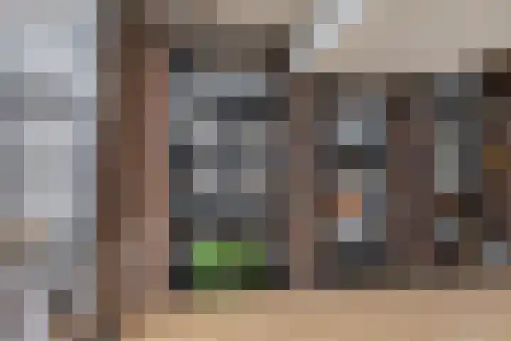 Bordeslaan 381 's-Hertogenbosch thumbnail 34